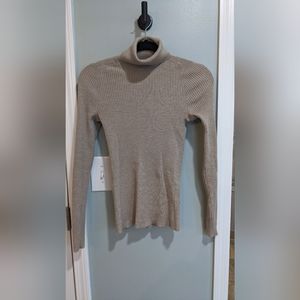 Everlane Wool Ribbed Turtleneck, Oatmeal Colored